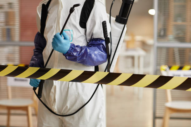 Professional Sewage Cleanup technician working in Wayland, IA